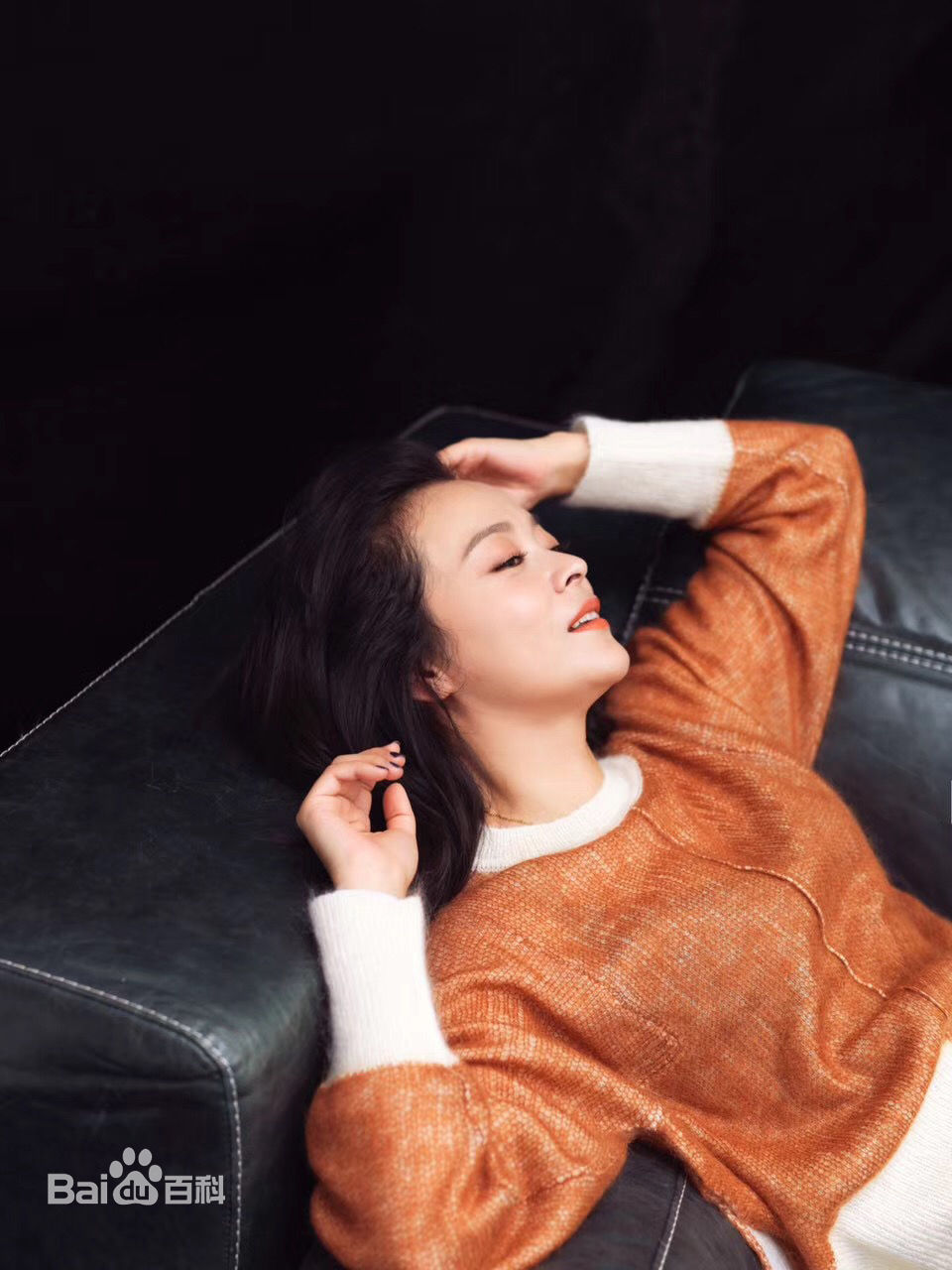 王嘉(Wang Jia) 集