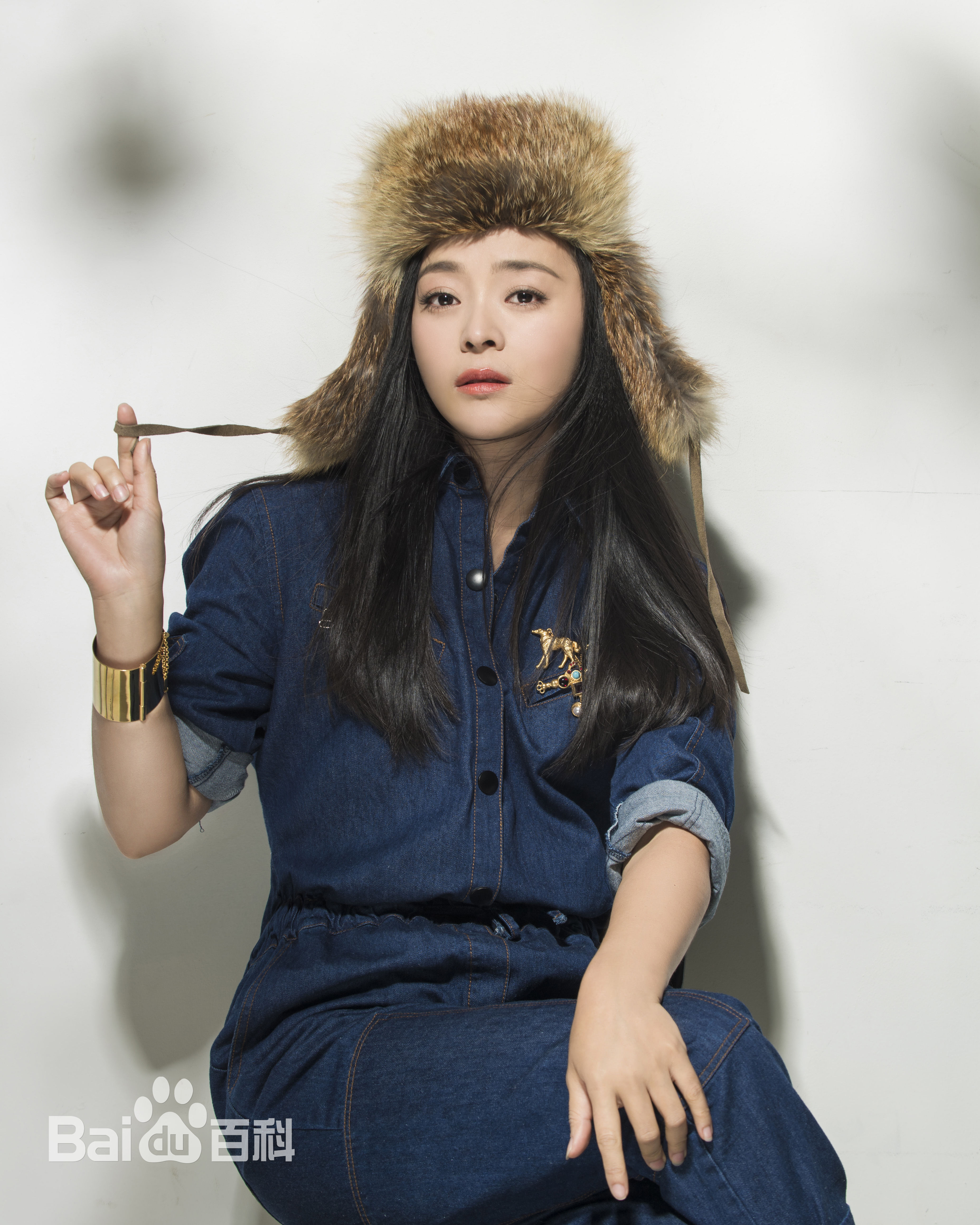 王嘉(Wang Jia) 集