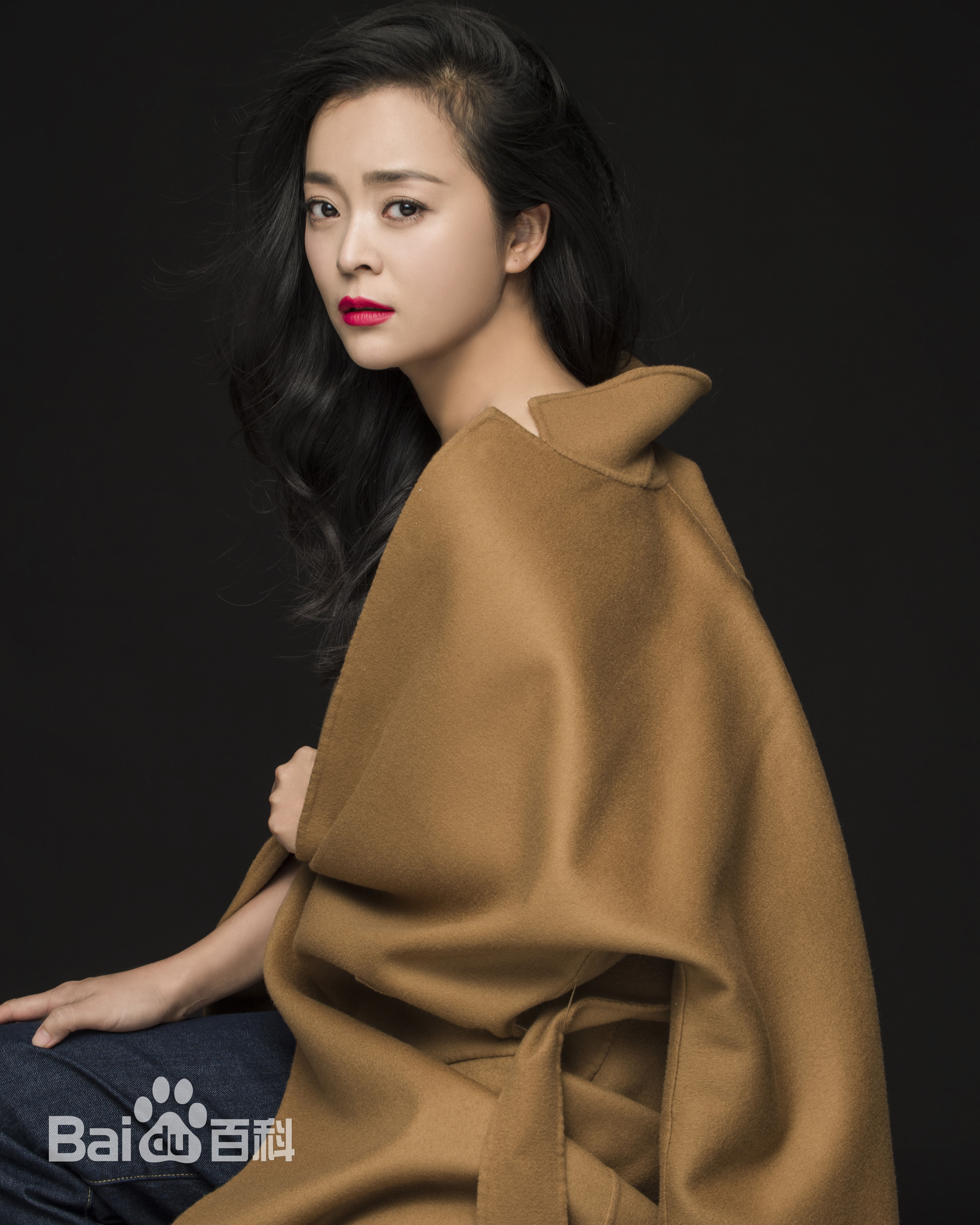 王嘉(Wang Jia) 集