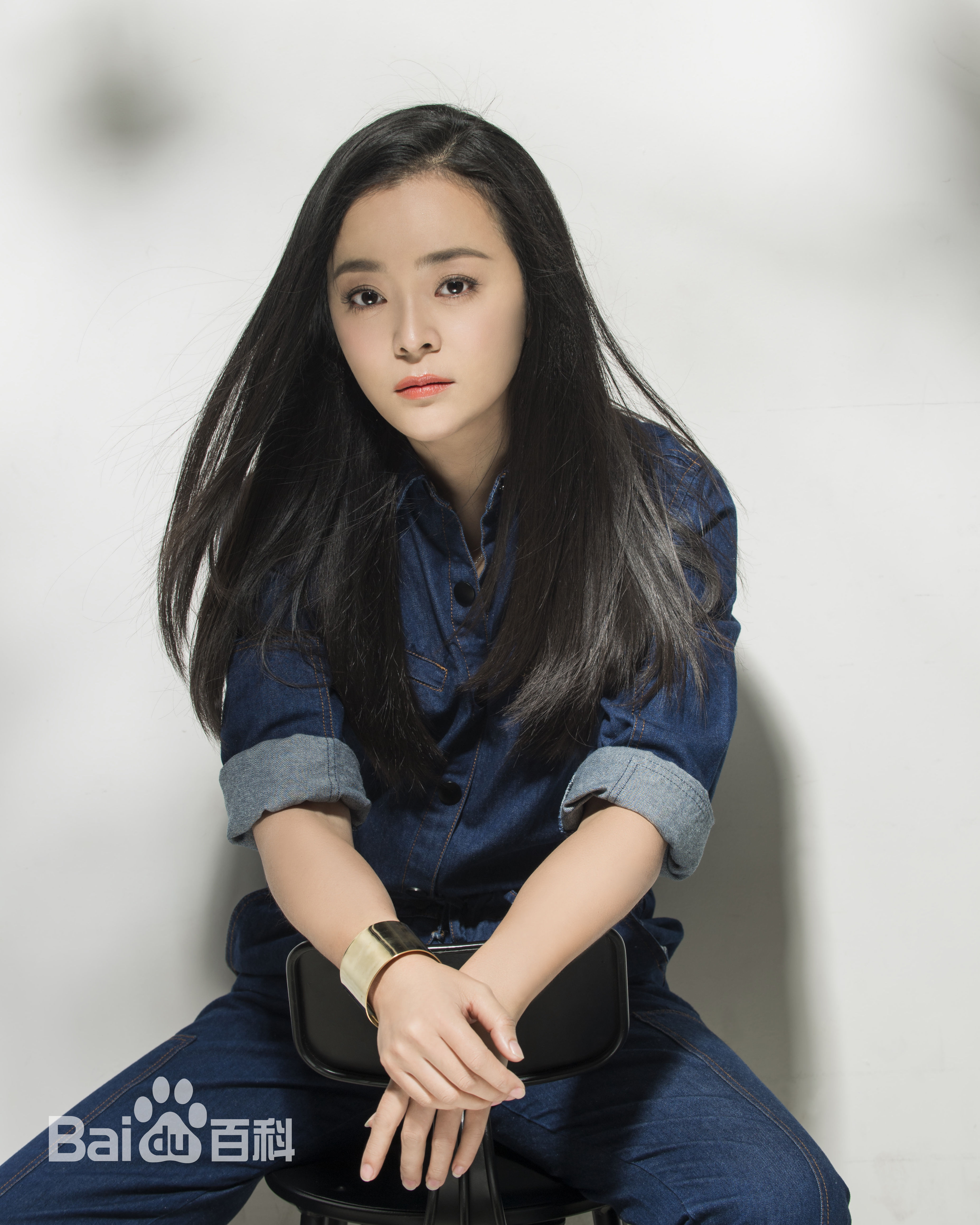 王嘉(Wang Jia) 集