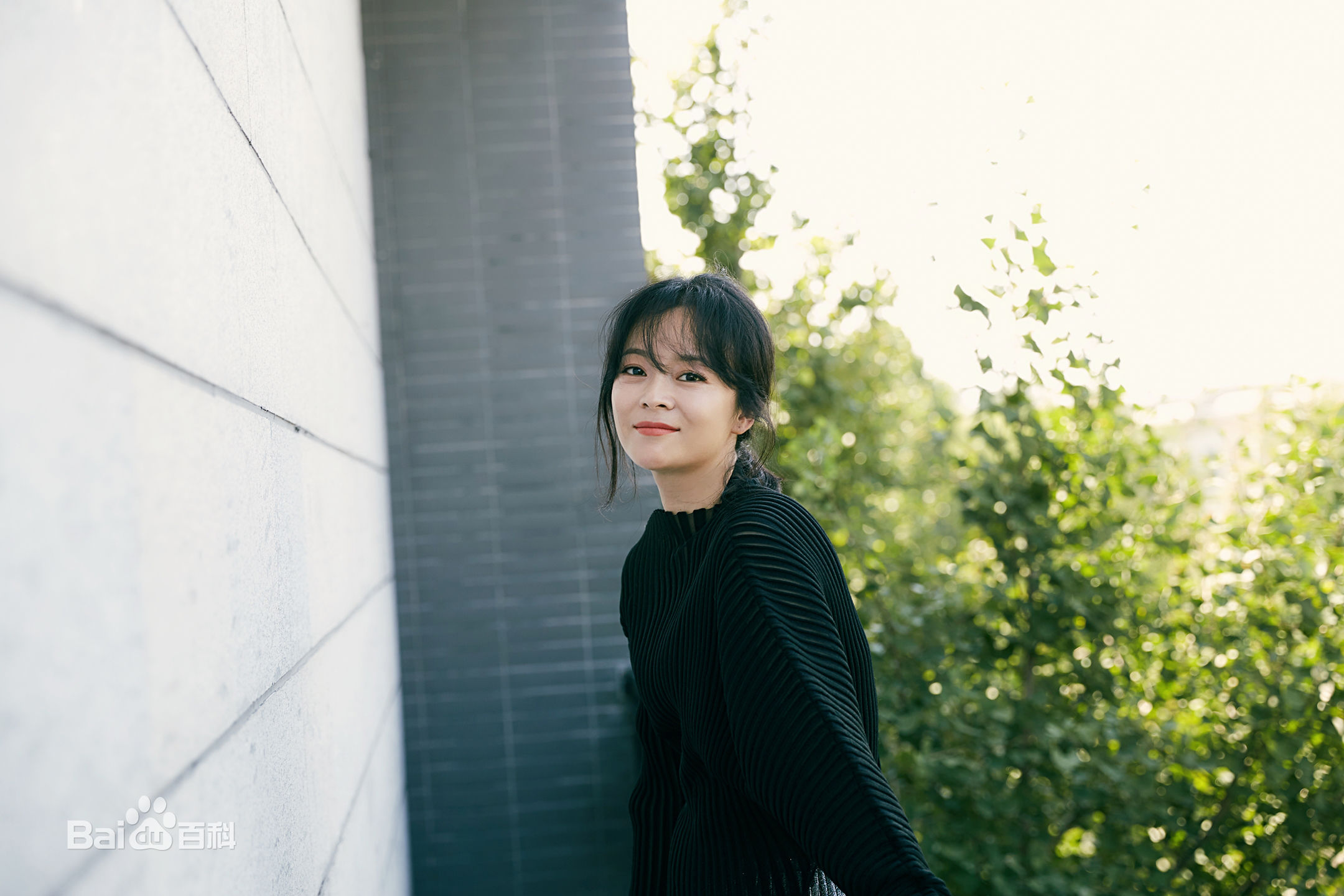 王嘉(Wang Jia) 集