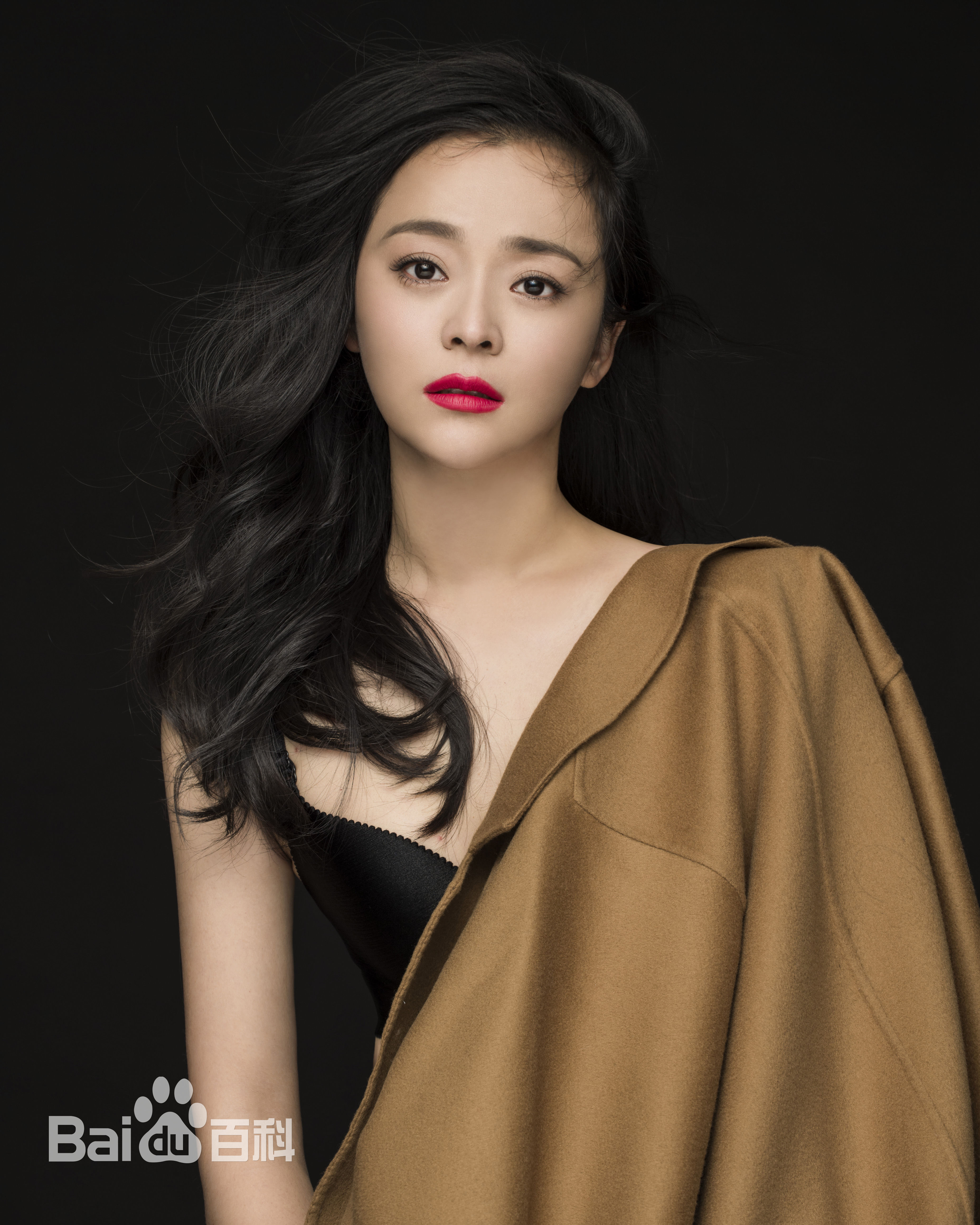 王嘉(Wang Jia) 集