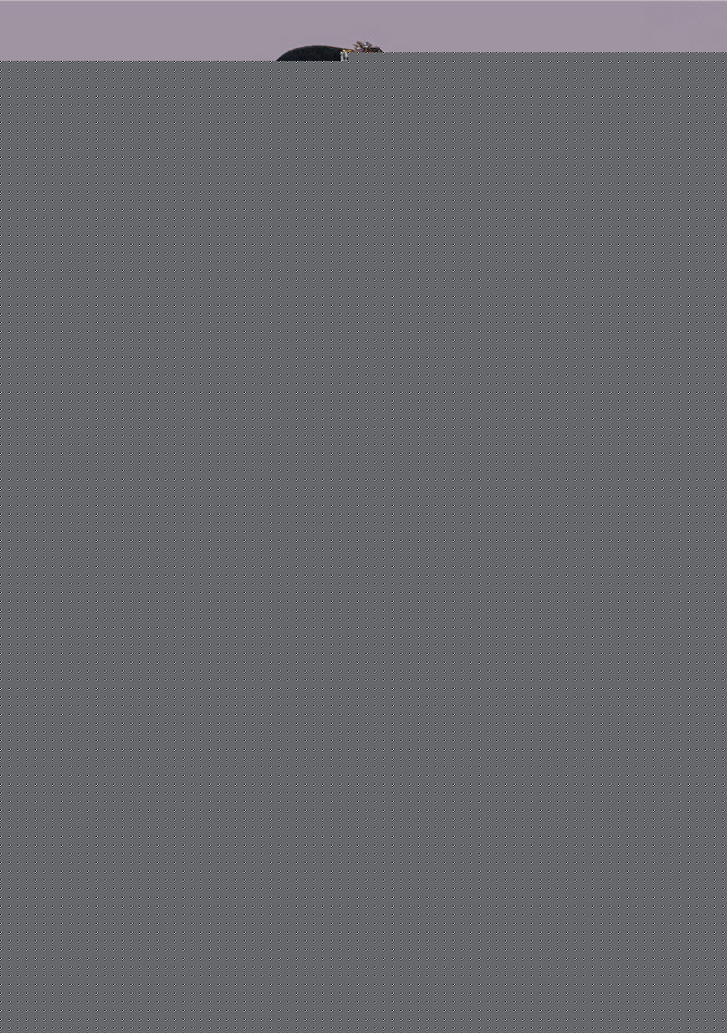 刘燕燕电视剧高清剧照