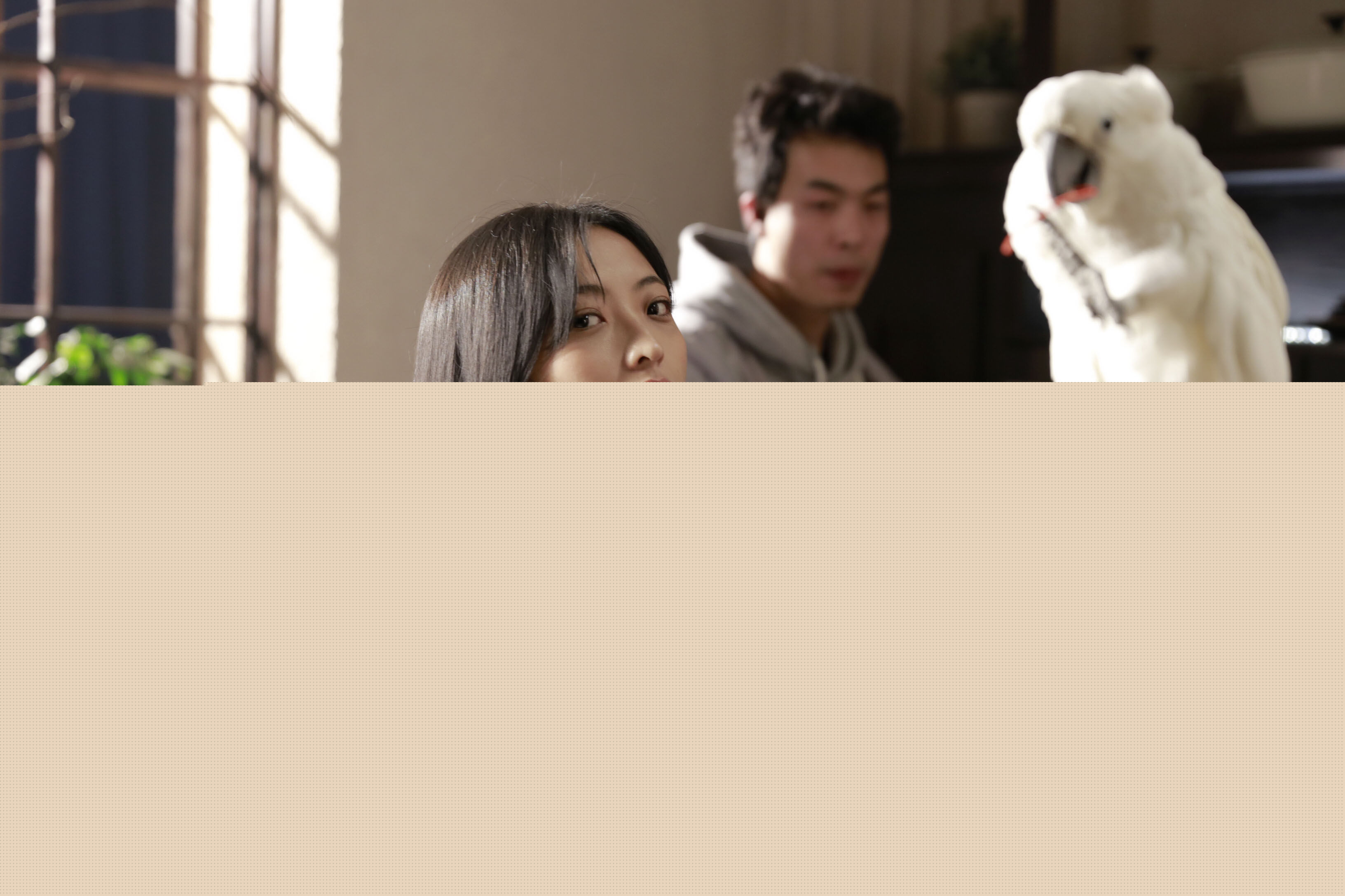 郭月(Luna)工作照性感图片图集