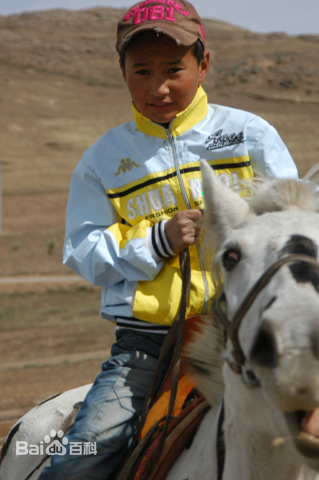 李宝生(LiBaoSheng)作品《骏马少年》剧照