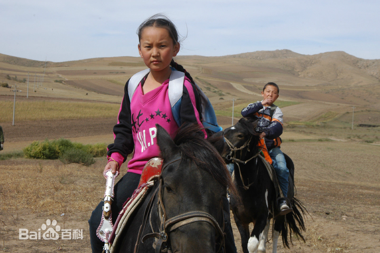 李宝生(LiBaoSheng)作品《骏马少年》剧照