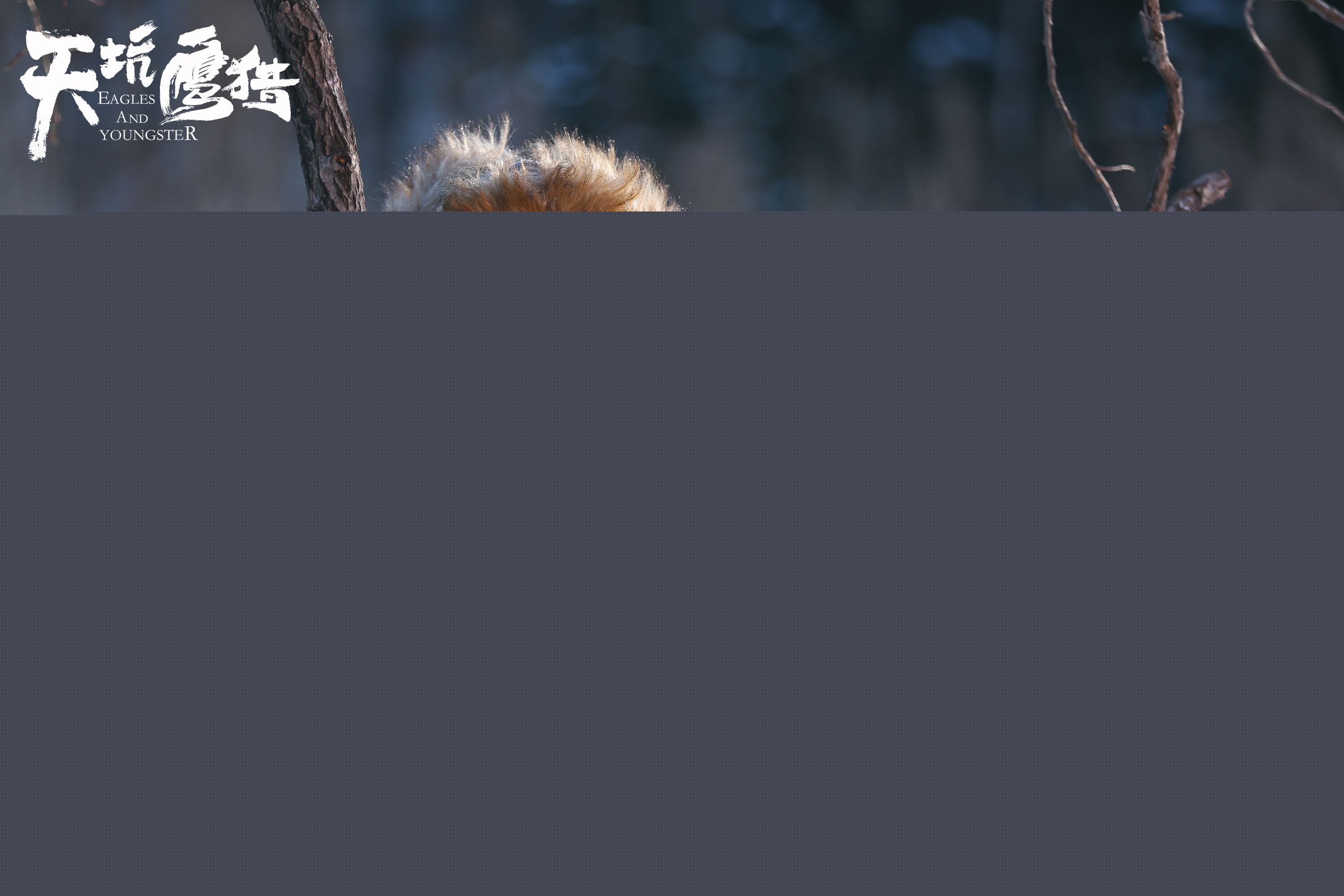 郑好(Tom Zheng)《天坑鹰猎》最全剧照