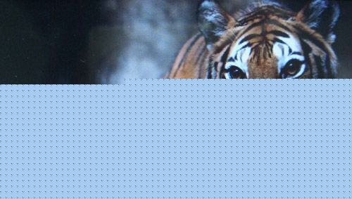 RTA产品图册1生活照