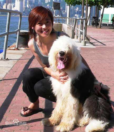 杨舒(Susie（英文名）)前后照片