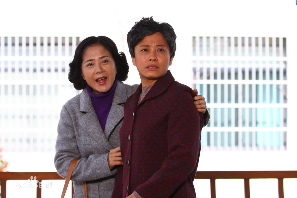 李晓红高清剧照