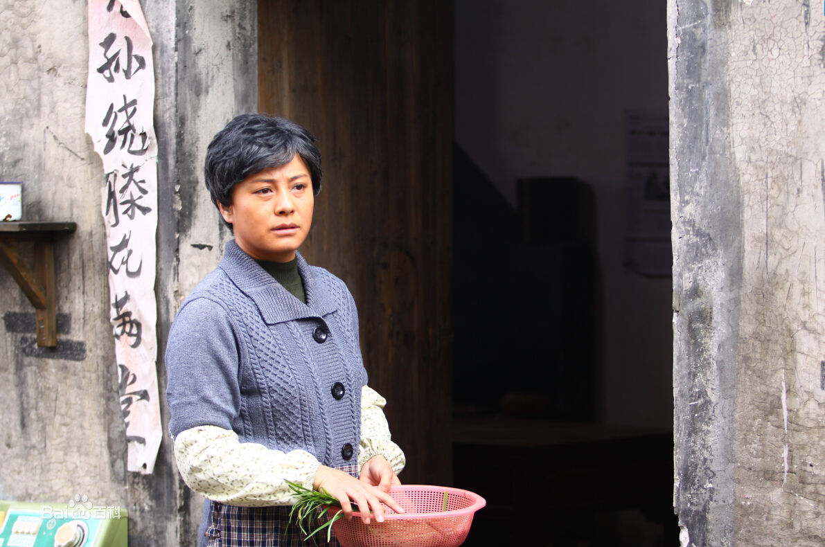 李晓红高清剧照