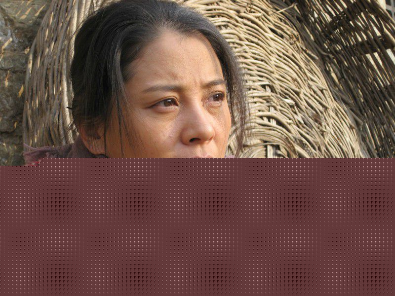 李晓红高清剧照