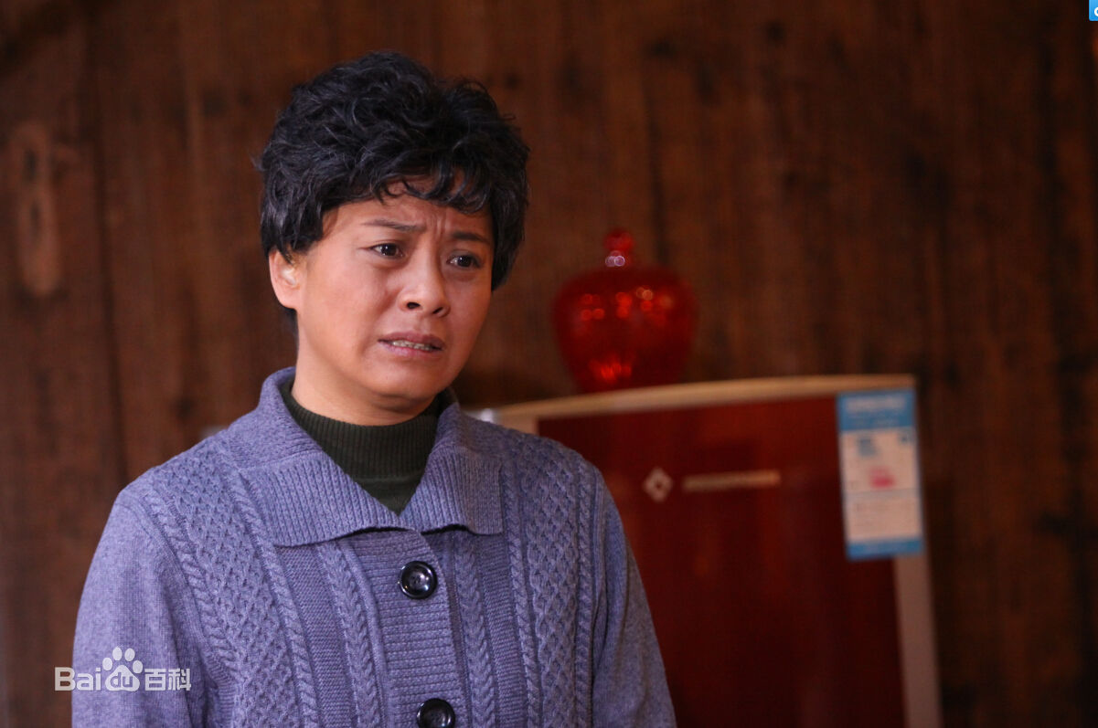 李晓红高清剧照