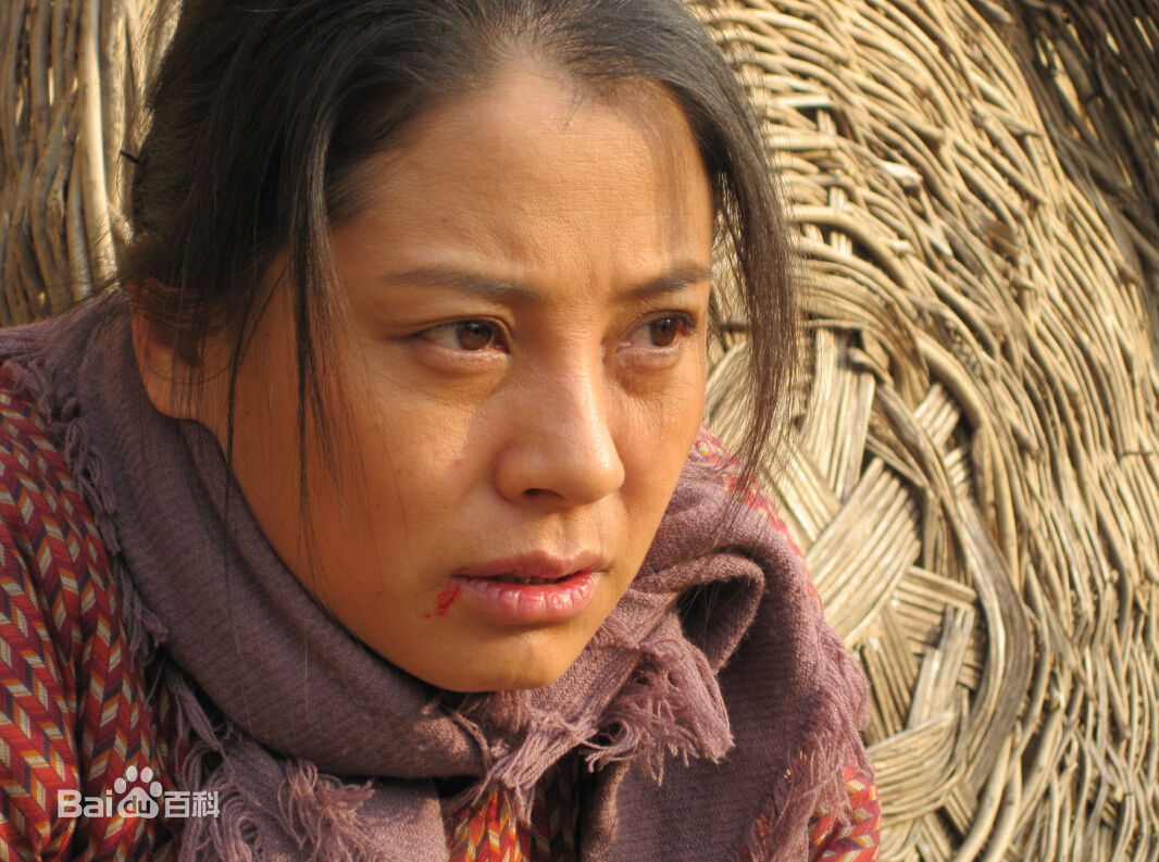 李晓红高清剧照