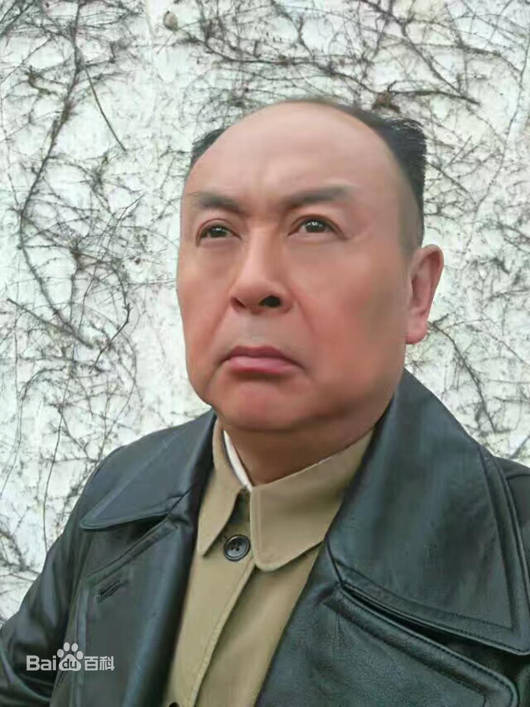 谷伟（饰演陈毅元帅）性感图片图集