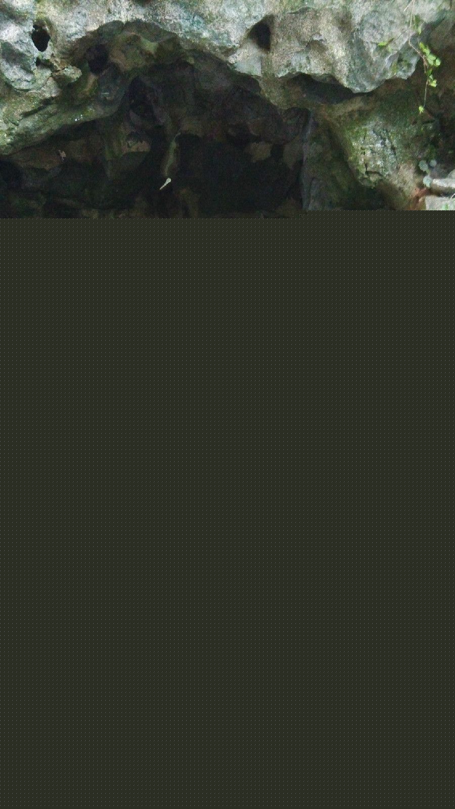 宫小龙宫老师生活照性感图片图集