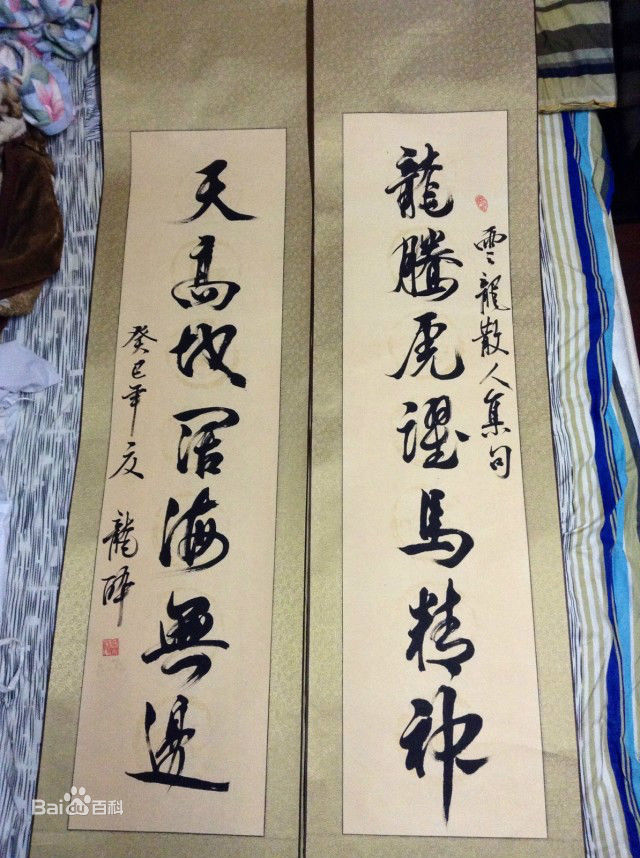 宫小龙宫先生书法作品素颜照相册