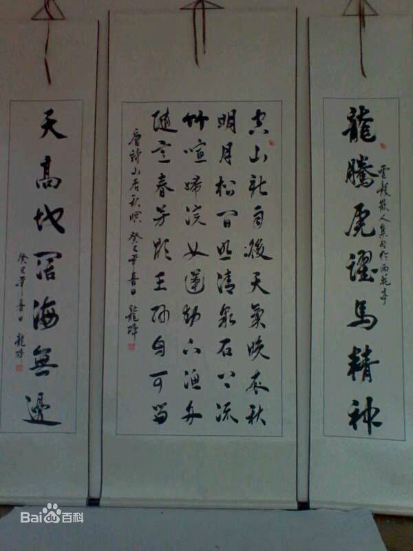 宫小龙宫先生书法作品素颜照相册