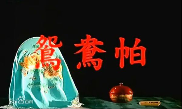 最优质王葆真生活照