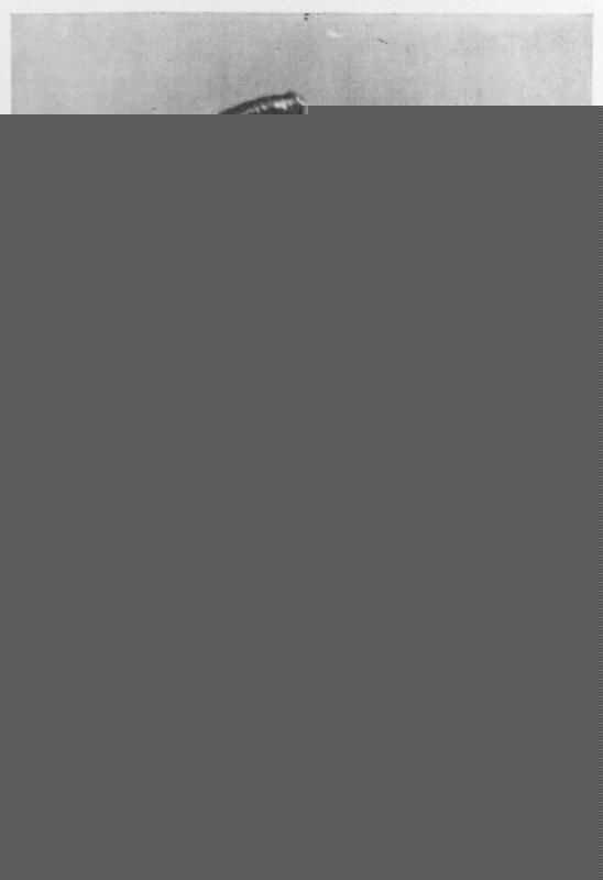 最全龚秋霞壁纸