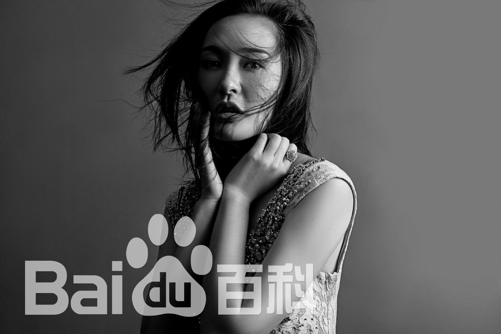 王豪(Harper)最全壁纸