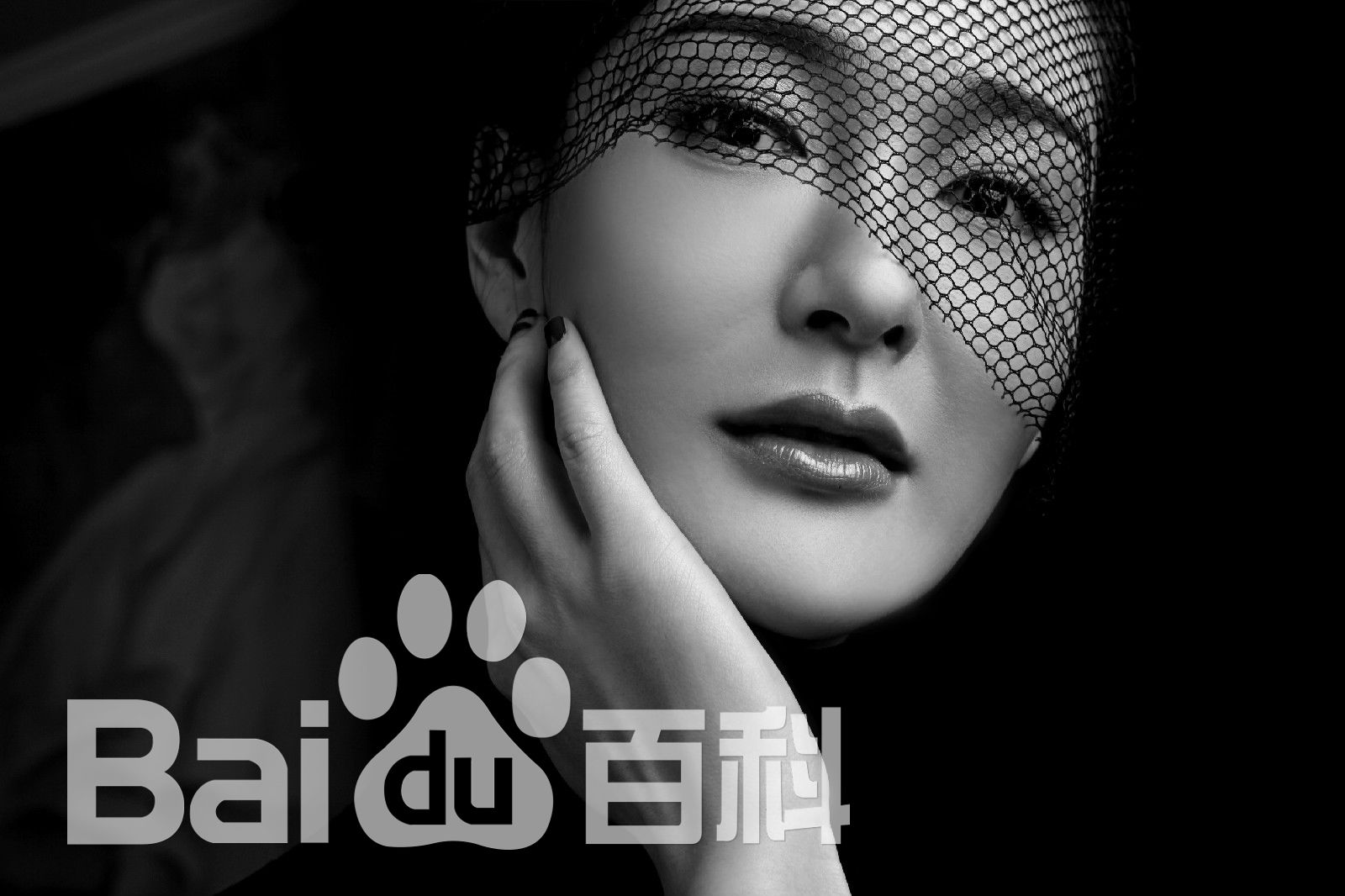 王豪(Harper)最全壁纸