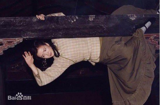 何晴(Qing He)2003年《双枪老太婆传奇》最新剧照