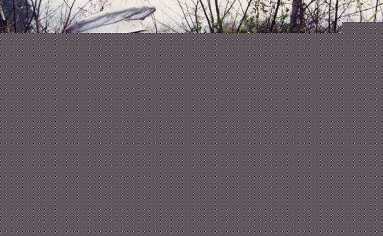 何晴(Qing He)2003年《双枪老太婆传奇》最新剧照