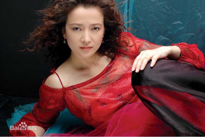 何晴(Qing He)最全照片壁纸