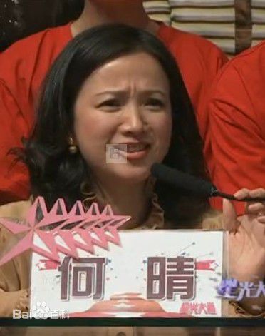 最优质何晴(Qing He)在《星光大道》评委中的相册