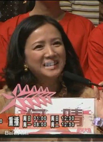 最优质何晴(Qing He)在《星光大道》评委中的相册