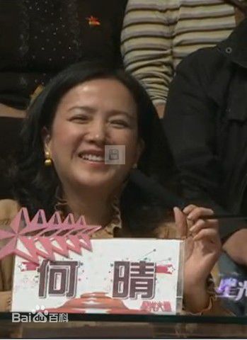 最优质何晴(Qing He)在《星光大道》评委中的相册