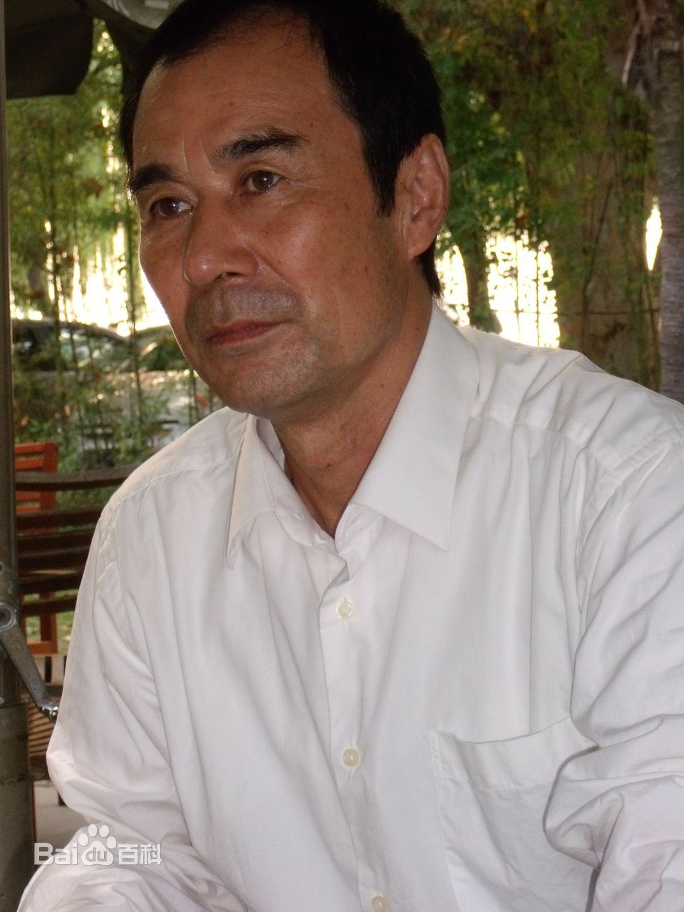 杨树林演员个人相册生活照相册