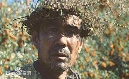 杨树林演员个人相册生活照相册