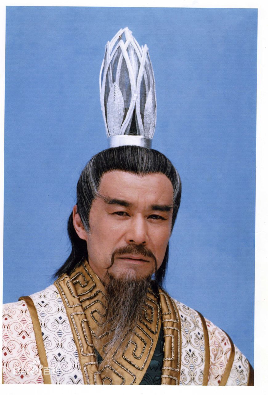 精选杨树林图片