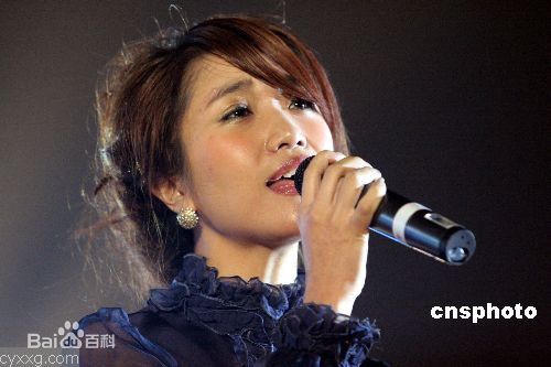 胡杨林(Joy Hu)出席活动性感图片壁纸