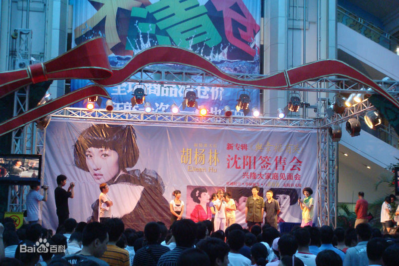 胡杨林(Joy Hu)签售会壁纸壁纸