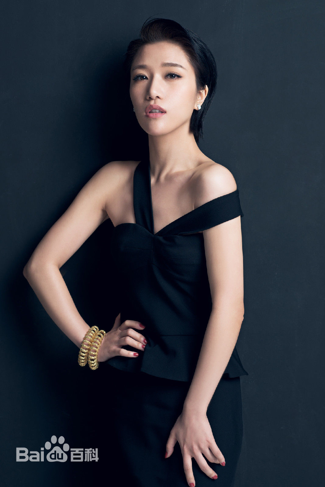 胡杨林(Joy Hu)最全照片壁纸