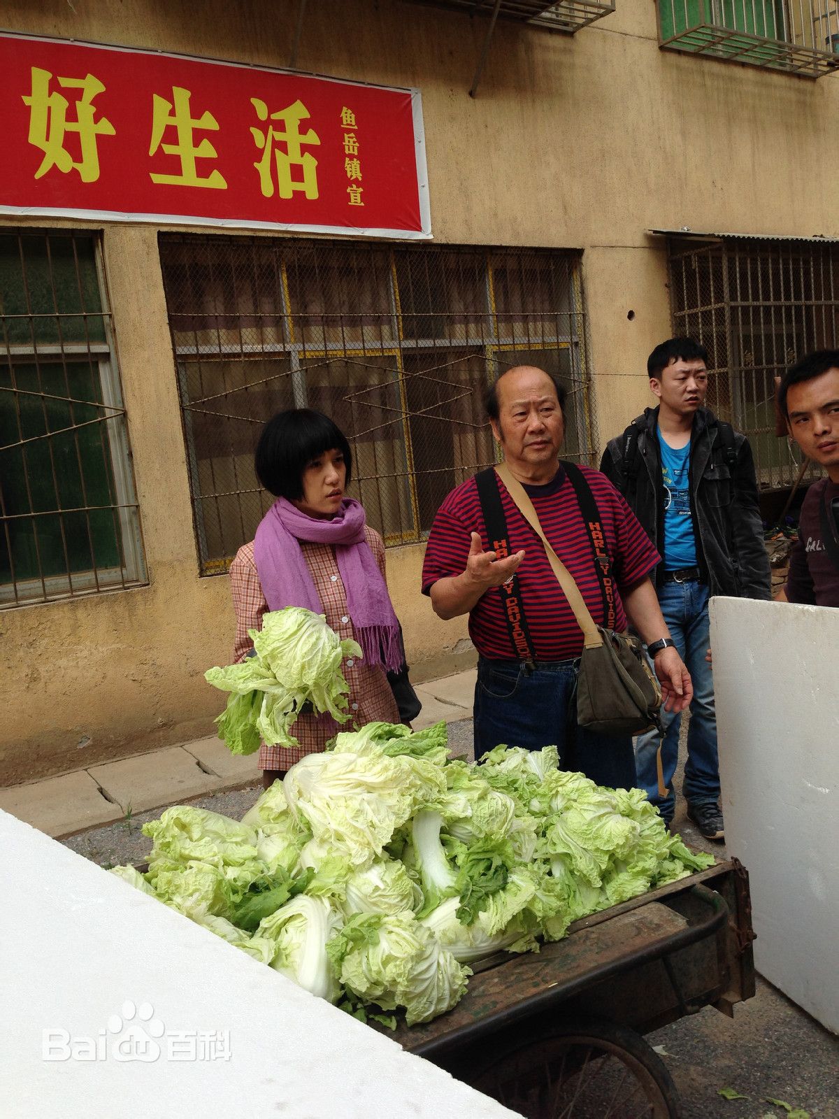 胡杨林(Joy Hu)剧照