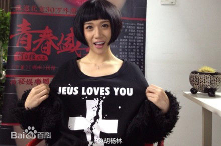 胡杨林(Joy Hu)剧照