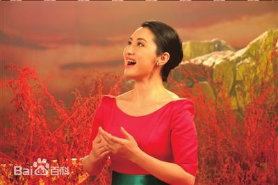 最优质刘一祯在《歌唱共产党》MV中的相册