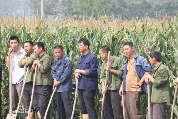 精选李嘉明(Mark)