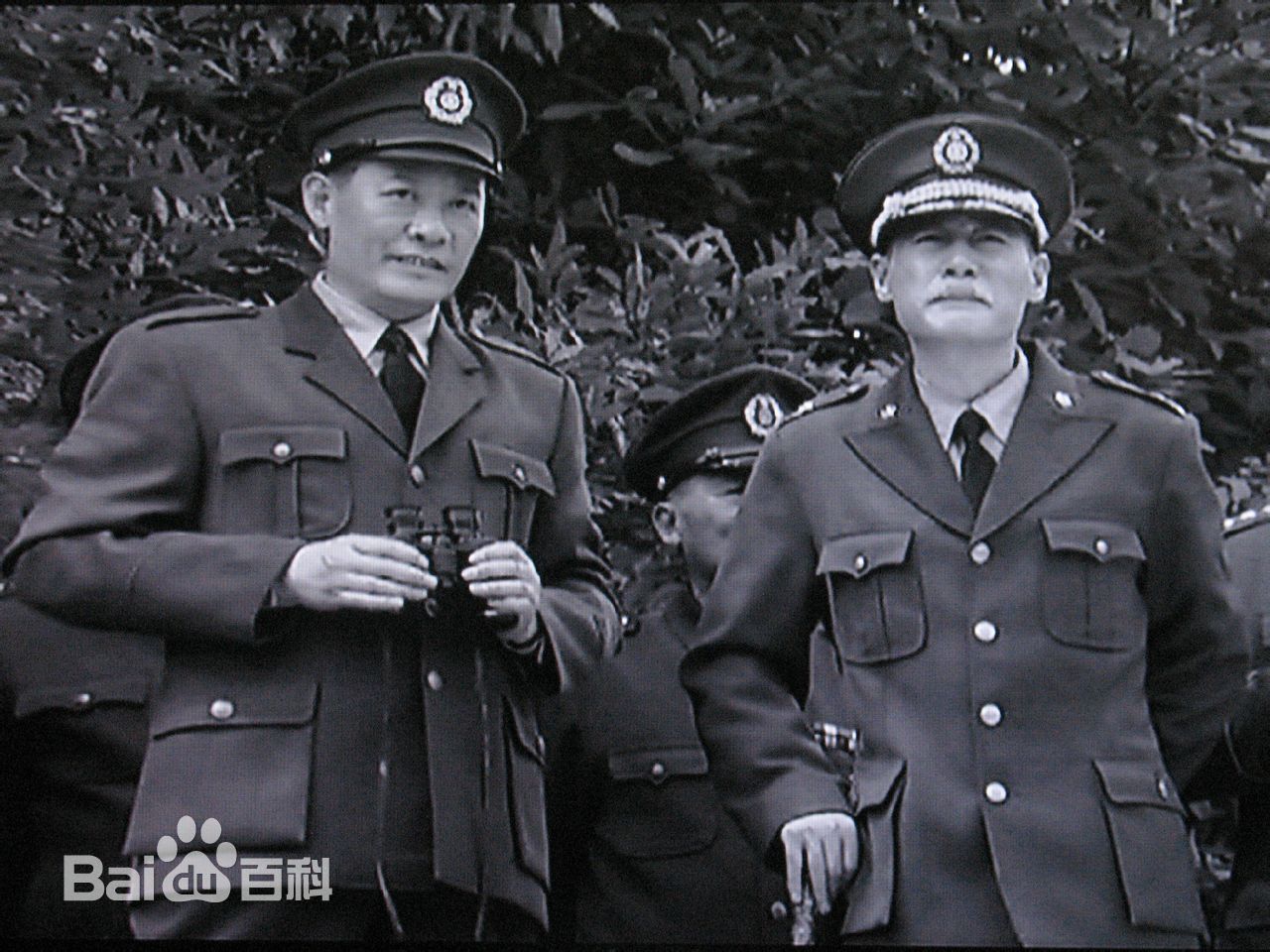 最优质刘欣生活照