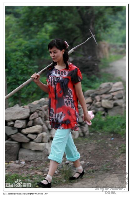 于莉红女人当官 王红粉图片图集