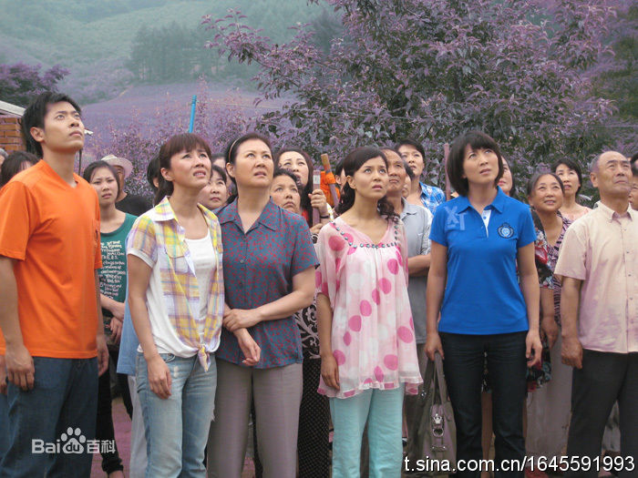 于莉红女人当官 王红粉图片图集