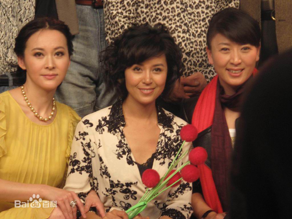 于莉红出席新闻发布会壁纸壁纸