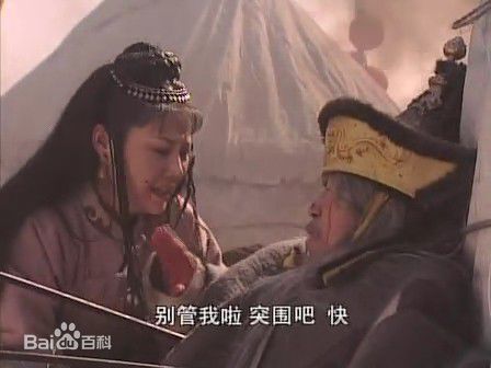 最全王也天在《康熙王朝》中的宝日龙梅中的壁纸