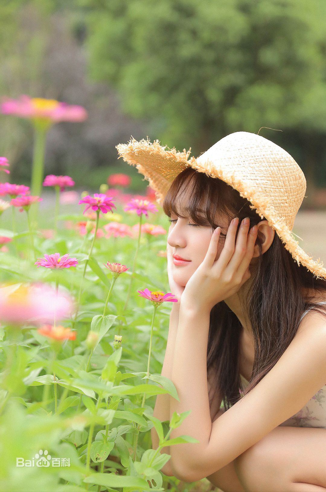 张昕(nanako) 图册性感图片图集