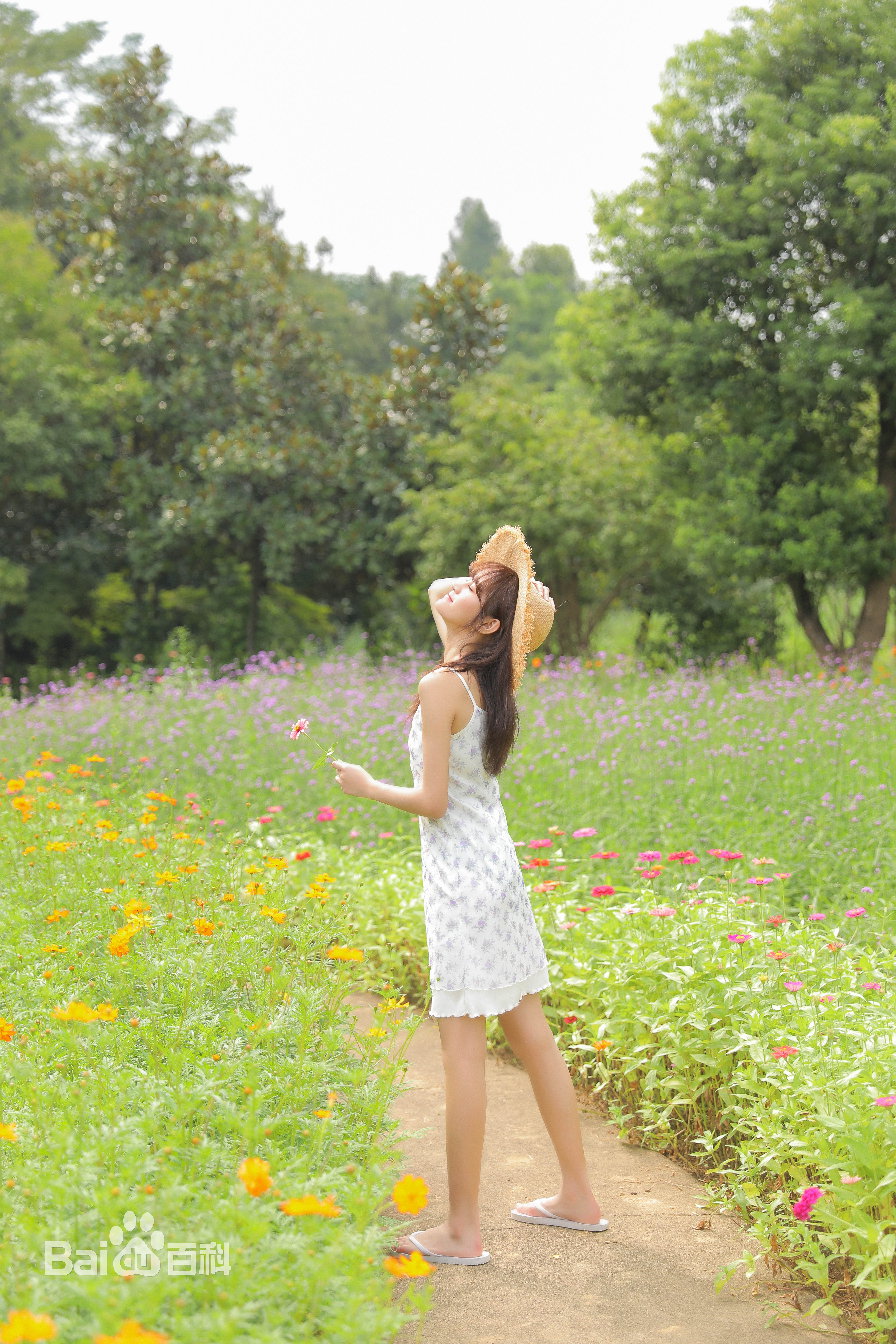 张昕(nanako) 图册性感图片图集