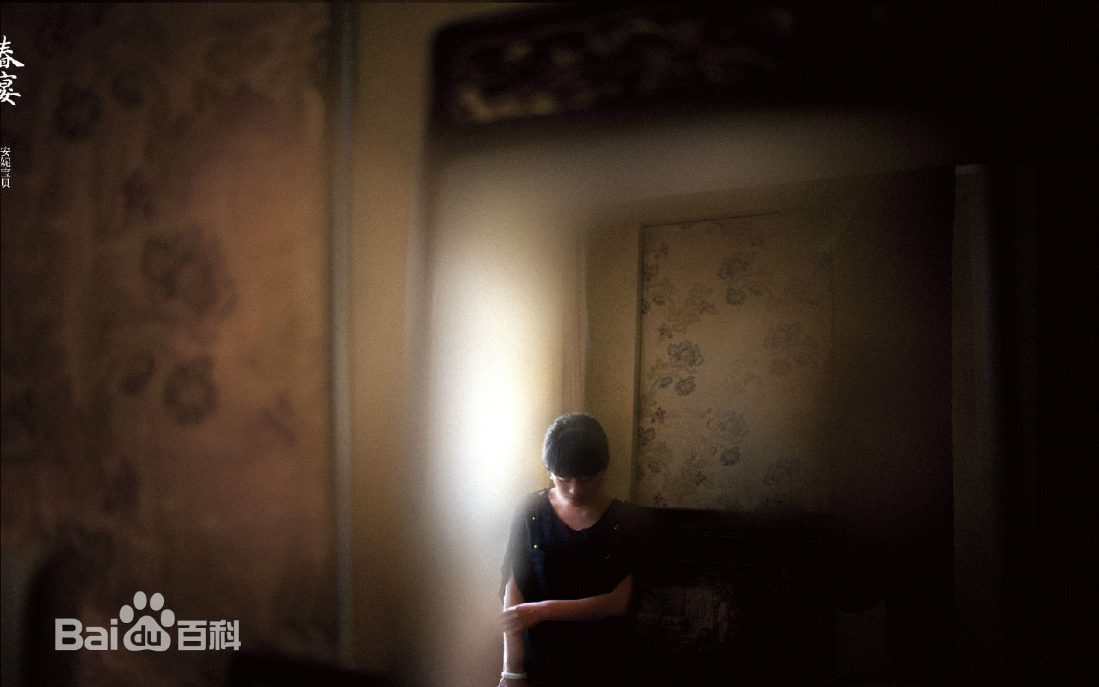 励婕庆山（安妮宝贝）图册